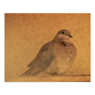 An Innocent Moment Poster