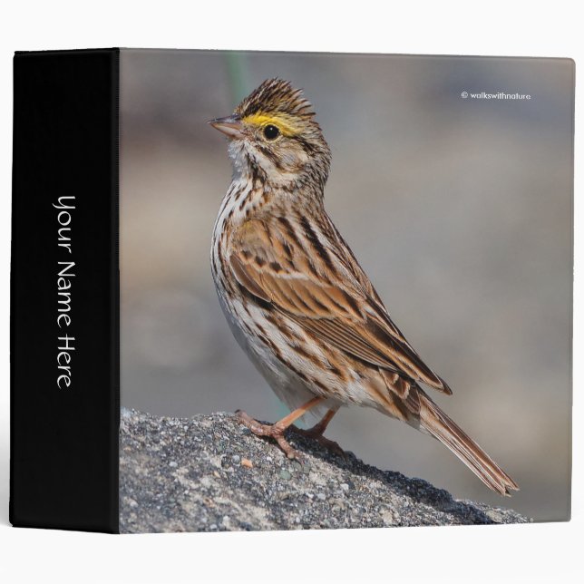An Inquisitive Savannah Sparrow 3 Ring Binder (Front/Spine)