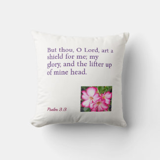 An Inspirational Throw Pillow