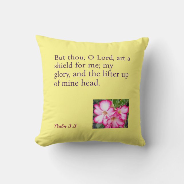 An Inspirational Throw Pillow (Front)