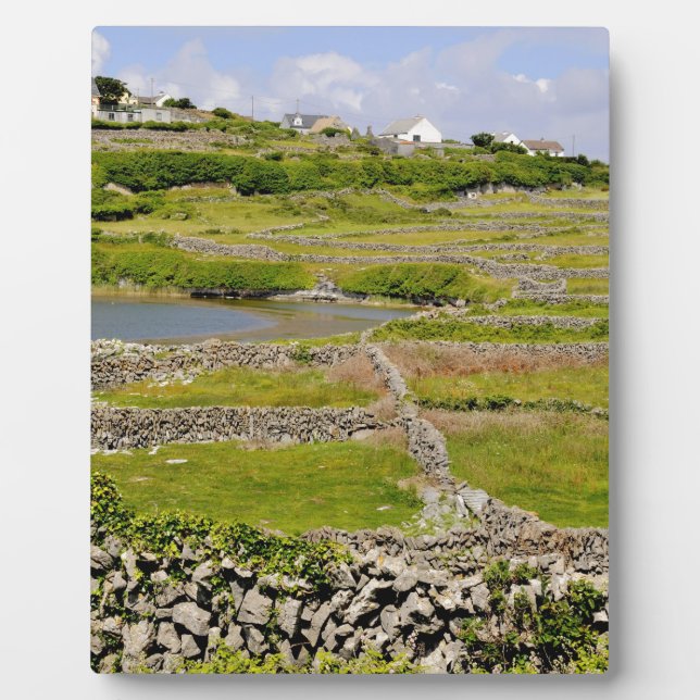 An Irish Stone Wall Plaque (Front)