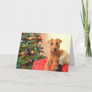 An Irish Terrier Christmas Holiday Card