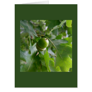 an oak fruit card