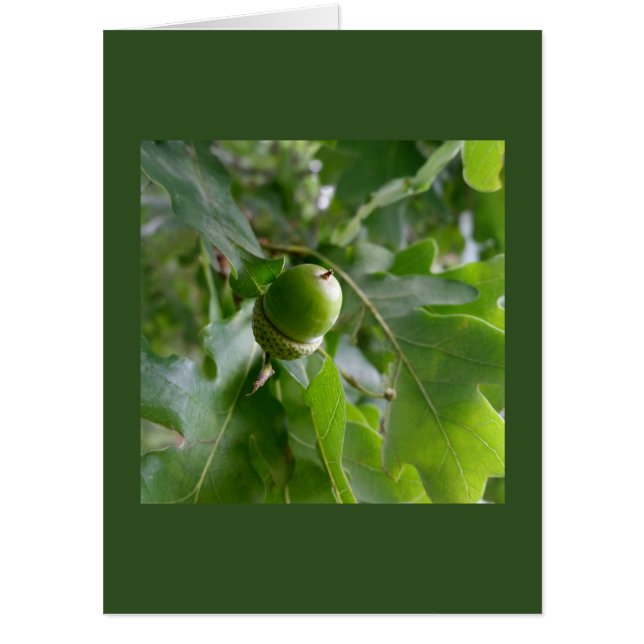 an oak fruit card (Front)