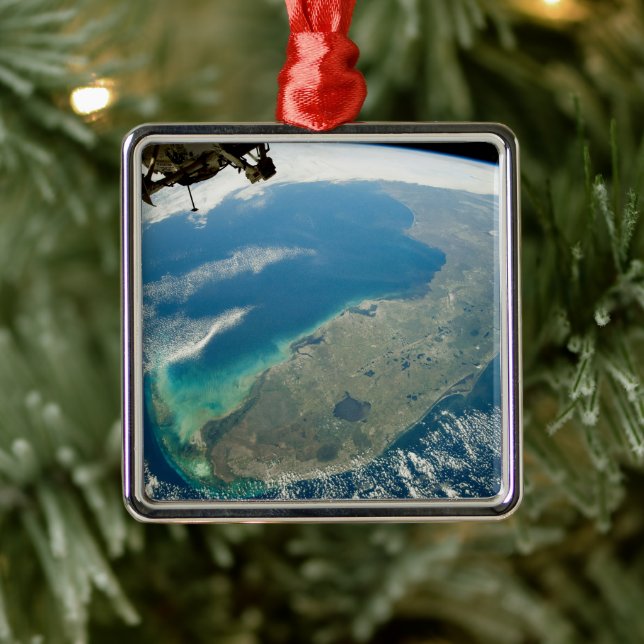 An Oblique Florida, On The Southeastern Coast Metal Ornament (Tree)