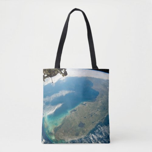 An Oblique Florida On The Southeastern Coast Tote Bag