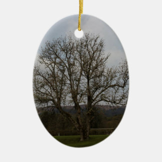An old tree in the middle of playground and garden ceramic ornament