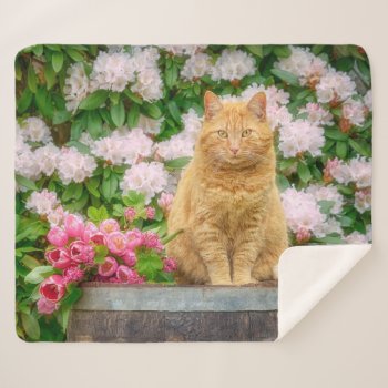 An Orange Cat In A Garden With Pink Spring Flowers Sherpa Blanket by Kathom_Photo at Zazzle