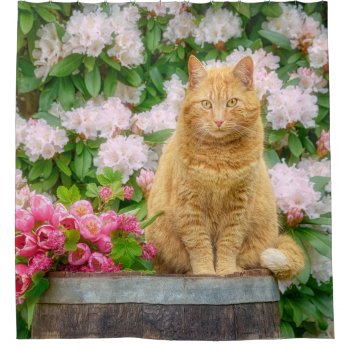 An Orange Cat In A Garden With Pink Spring Flowers Shower Curtain by Kathom_Photo at Zazzle