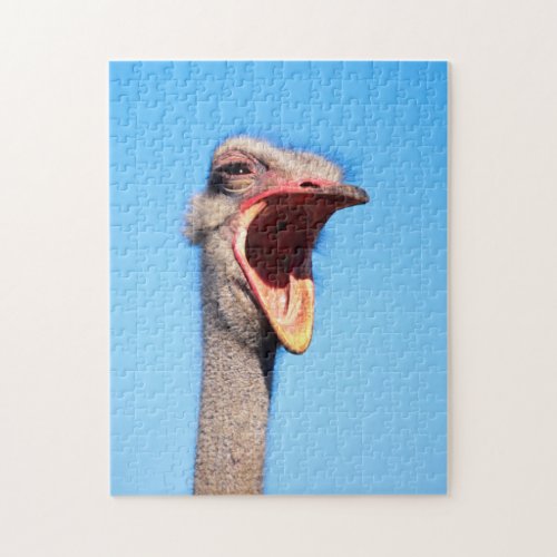 An Ostrich showing aggression Jigsaw Puzzle