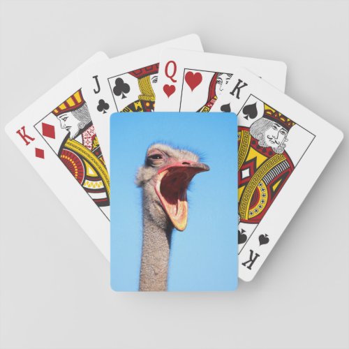 An Ostrich showing aggression Playing Cards