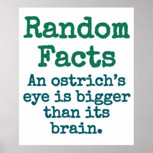An Ostrich's Eye Is Bigger - Trivia Fact Poster
