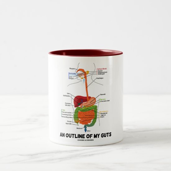 An Outline Of My Guts (Digestive System Humor) Two-Tone Coffee Mug