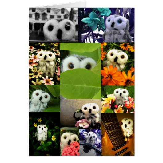 An Owl Named Ophelia Cards (Front)