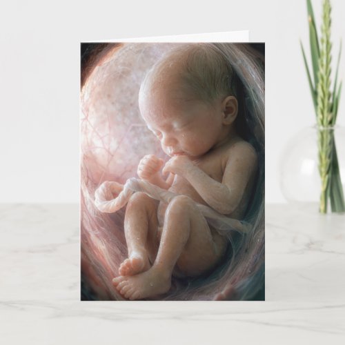 An Unborn Child in a Womb Card