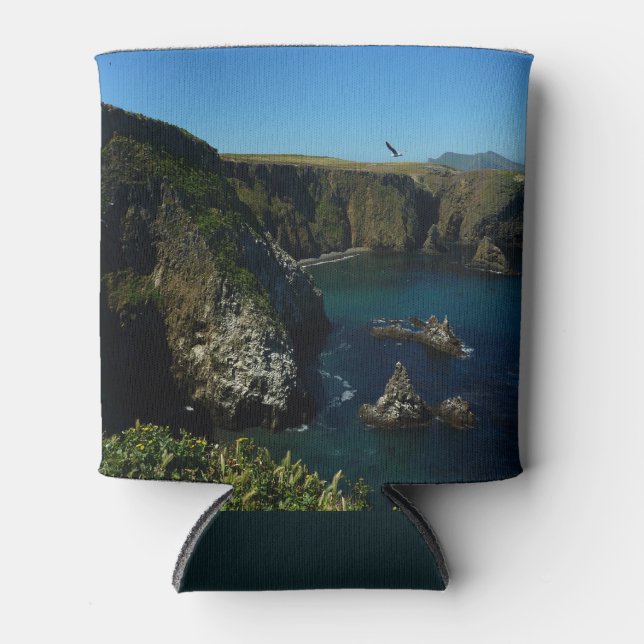 Anacapa Island at Channel Islands National Park Can Cooler (Front)