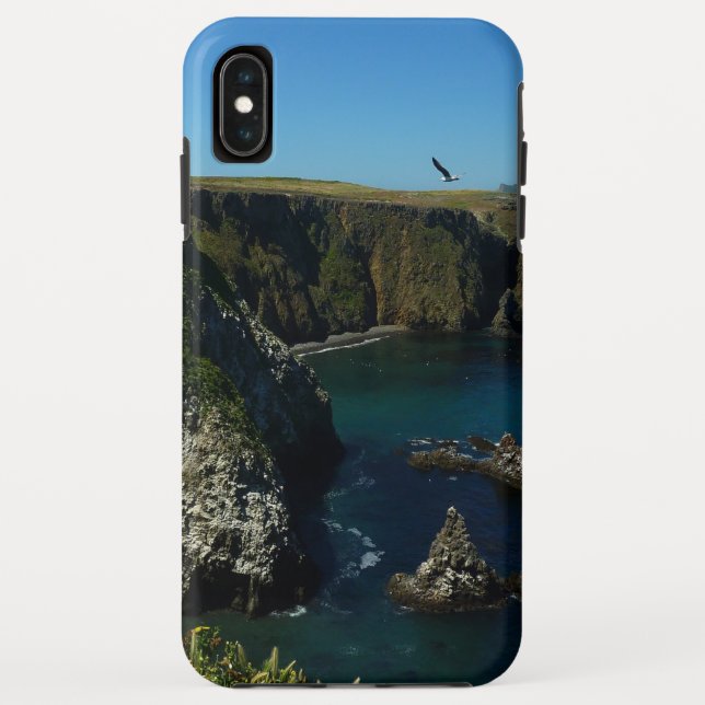 Anacapa Island at Channel Islands National Park Case-Mate iPhone Case (Back)