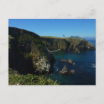 Anacapa Island at Channel Islands National Park Postcard