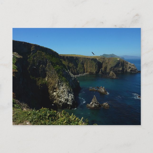 Anacapa Island at Channel Islands National Park Postcard (Front)