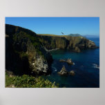 Anacapa Island at Channel Islands National Park Poster