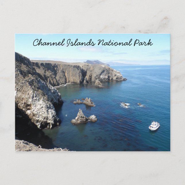 Anacapa Island- Channel Islands National Park Postcard (Front)