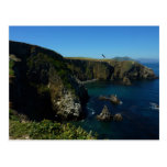 Anacapa Island II at Channel Islands National Park Postcard