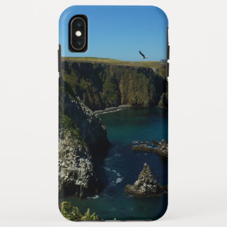 Anacapa Island Scenic View at Channel Islands iPhone XS Max Case