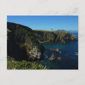 Anacapa Island Scenic View at Channel Islands Postcard