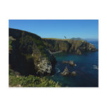Anacapa Island Scenic View at Channel Islands Postcard