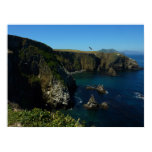 Anacapa Island Scenic View at Channel Islands Poster