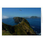Anacapa's Inspiration Point I in Channel Islands
