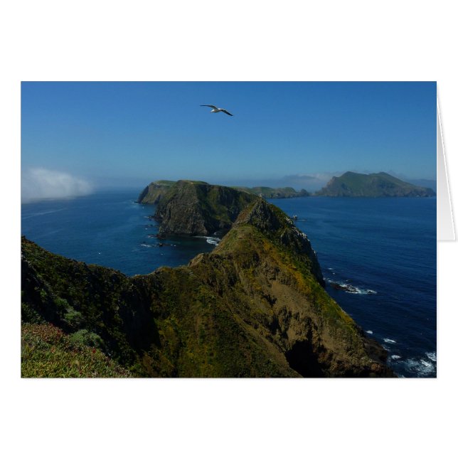 Anacapa's Inspiration Point I in Channel Islands (Front Horizontal)