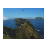 Anacapa's Inspiration Point I in Channel Islands Canvas Print