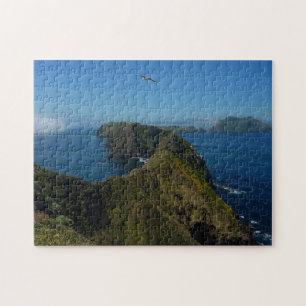 Anacapa's Inspiration Point I in Channel Islands Jigsaw Puzzle
