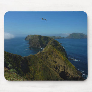 Anacapa's Inspiration Point I in Channel Islands Mouse Pad