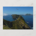 Anacapa's Inspiration Point I in Channel Islands Postcard