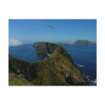 Anacapa's Inspiration Point I in Channel Islands Postcard