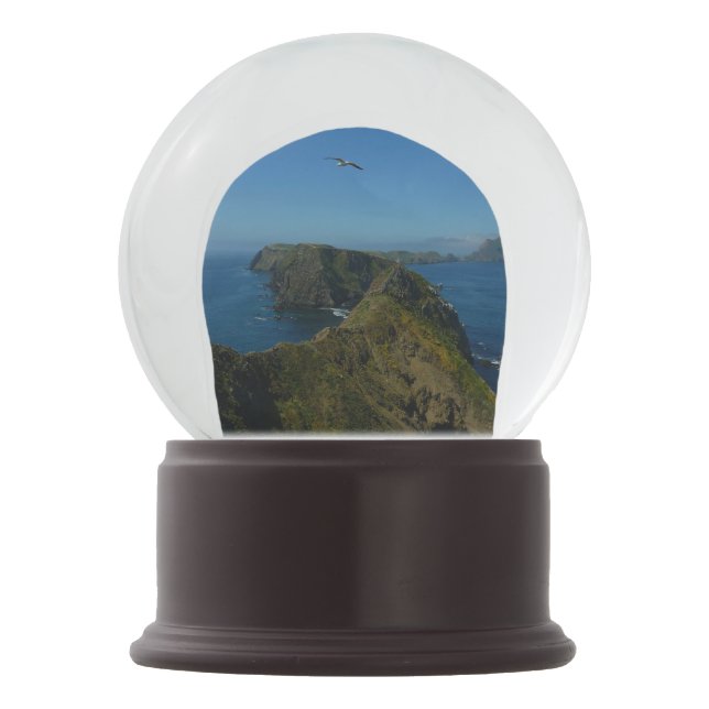 Anacapa's Inspiration Point I in Channel Islands Snow Globe (Front)