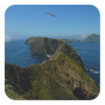 Anacapa's Inspiration Point I in Channel Islands Square Sticker