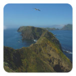 Anacapa's Inspiration Point I in Channel Islands Square Sticker