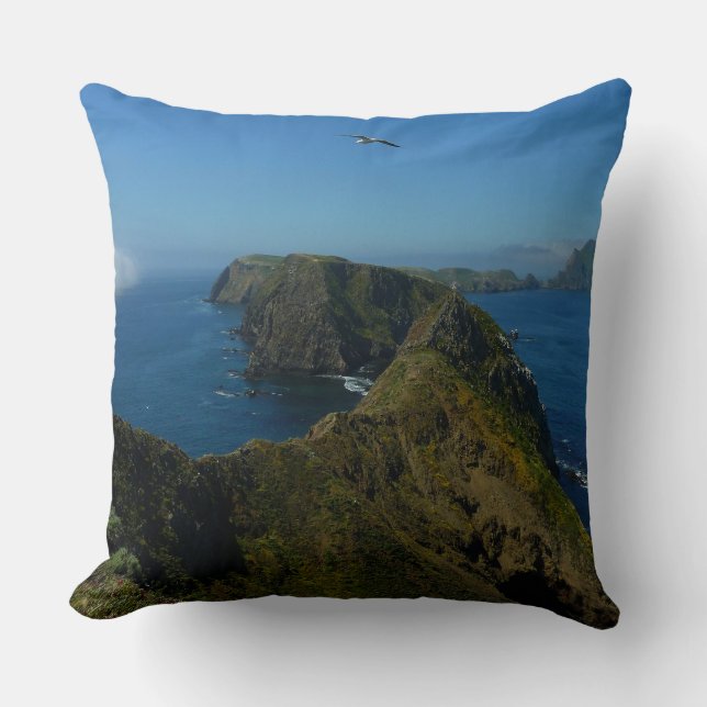 Anacapa's Inspiration Point I in Channel Islands Throw Pillow (Front)
