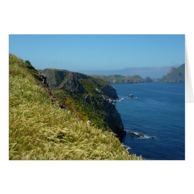 Anacapa's Inspiration Point II at Channel Islands (Front Horizontal)