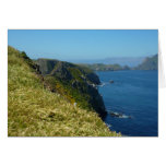 Anacapa's Inspiration Point II at Channel Islands Cards
