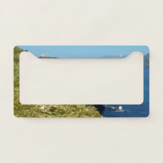 Anacapa's Inspiration Point II at Channel Islands License Plate Frame