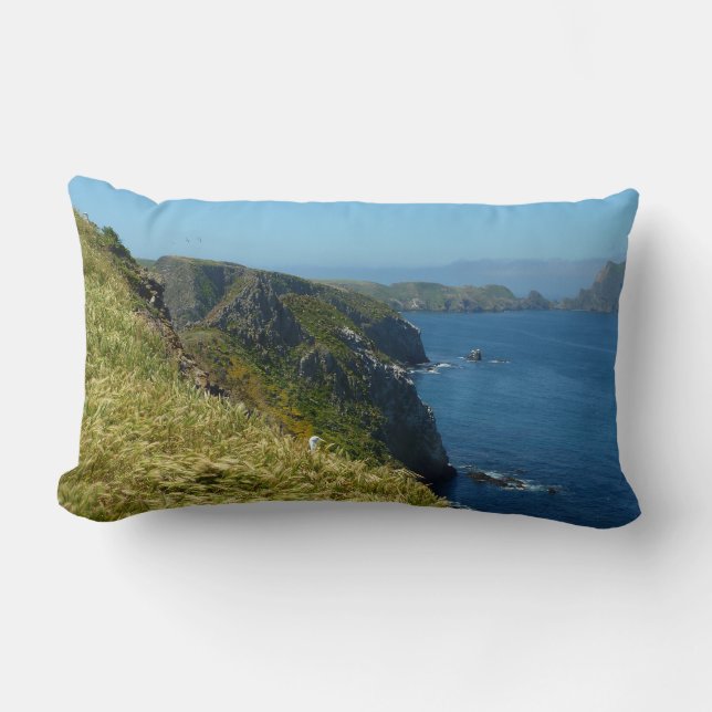 Anacapa's Inspiration Point II at Channel Islands Lumbar Pillow (Front)
