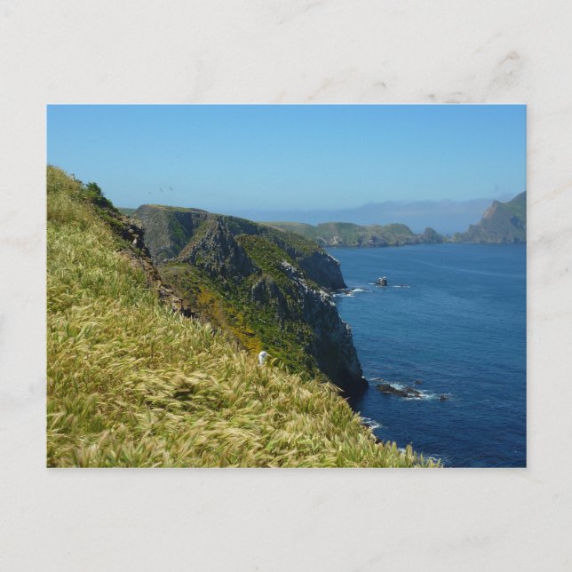 Anacapa's Inspiration Point II at Channel Islands Postcard (Front)