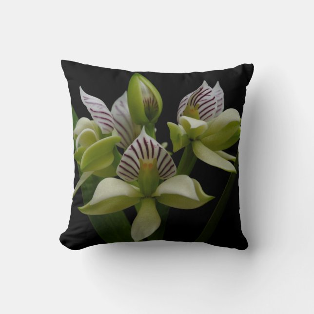 Anacheilium Chacoense Throw Pillow (Front)