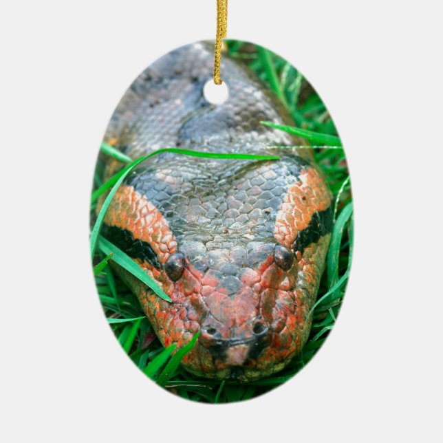 Anaconda snake ceramic ornament (Front)