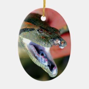 Anaconda snake jaws open exposing large fangs ceramic ornament
