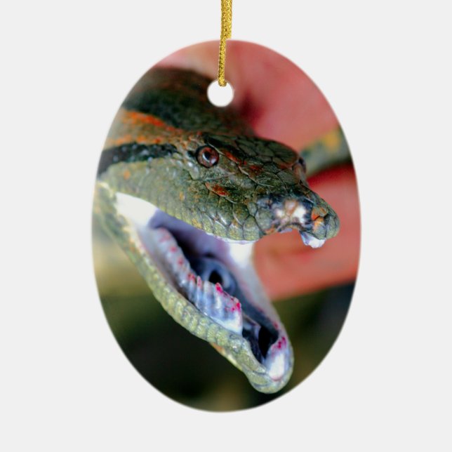 Anaconda snake jaws open exposing large fangs ceramic ornament (Front)